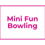 Fun Mini Bowling